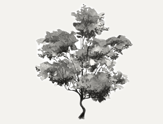B&W watercolor tree