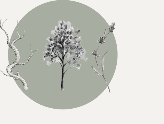 a root- get rooted; a growing tree- grow; a flower- blossom