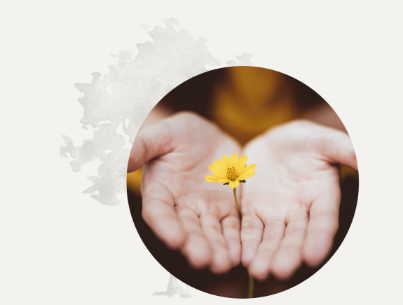 Two hands reaching out with a flower