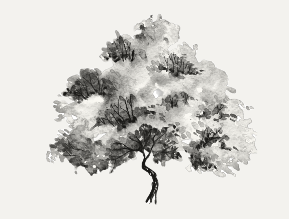 B&W watercolor tree