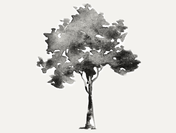 B&W watercolor tree